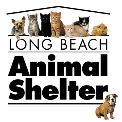 animal shelter